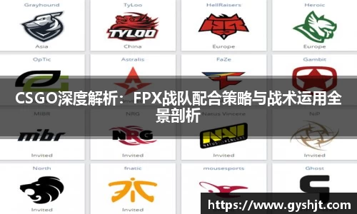 CSGO深度解析：FPX战队配合策略与战术运用全景剖析